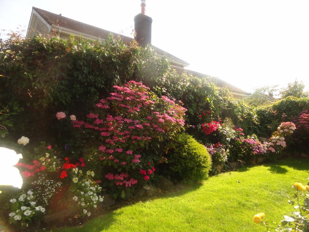 Orley House B&B Drogheda Eksteriør bilde