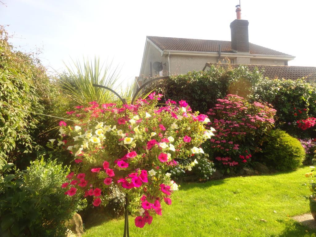 Orley House B&B Drogheda Eksteriør bilde