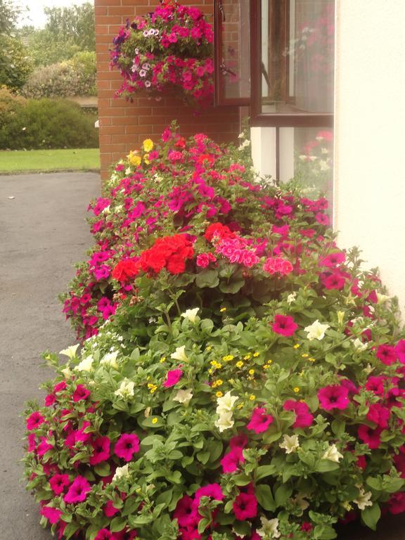 Orley House B&B Drogheda Eksteriør bilde