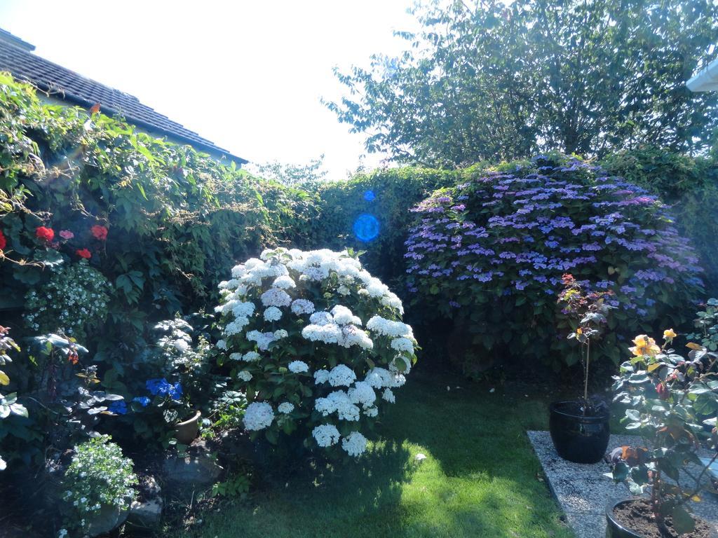 Orley House B&B Drogheda Eksteriør bilde